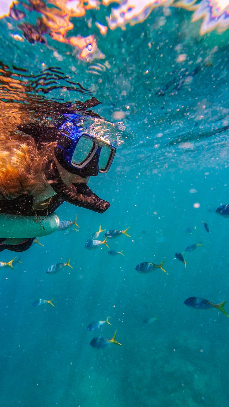 Snorkeling